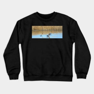 American Avocets illustration Crewneck Sweatshirt